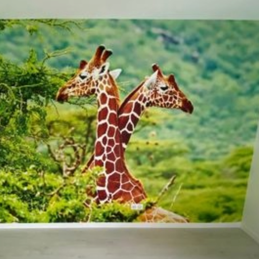 BS PEINTURE MARLY