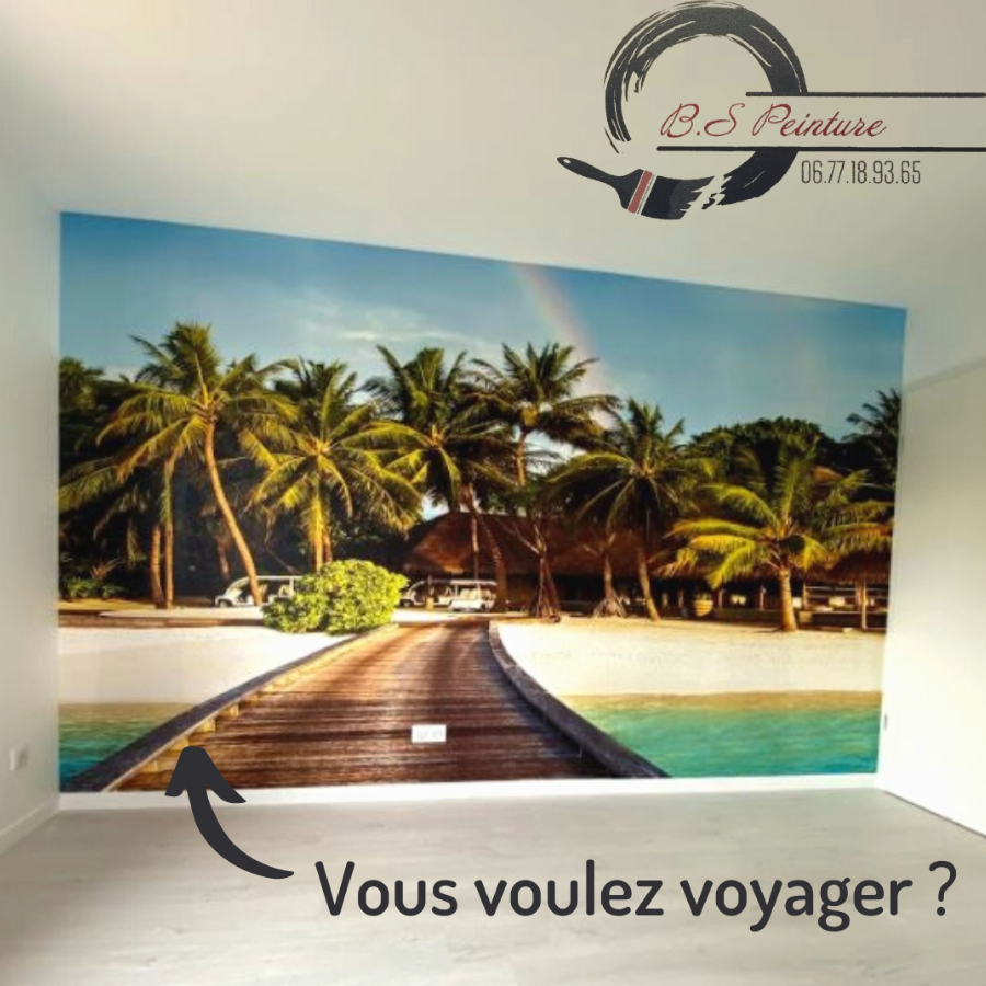 BS PEINTURE MARLY